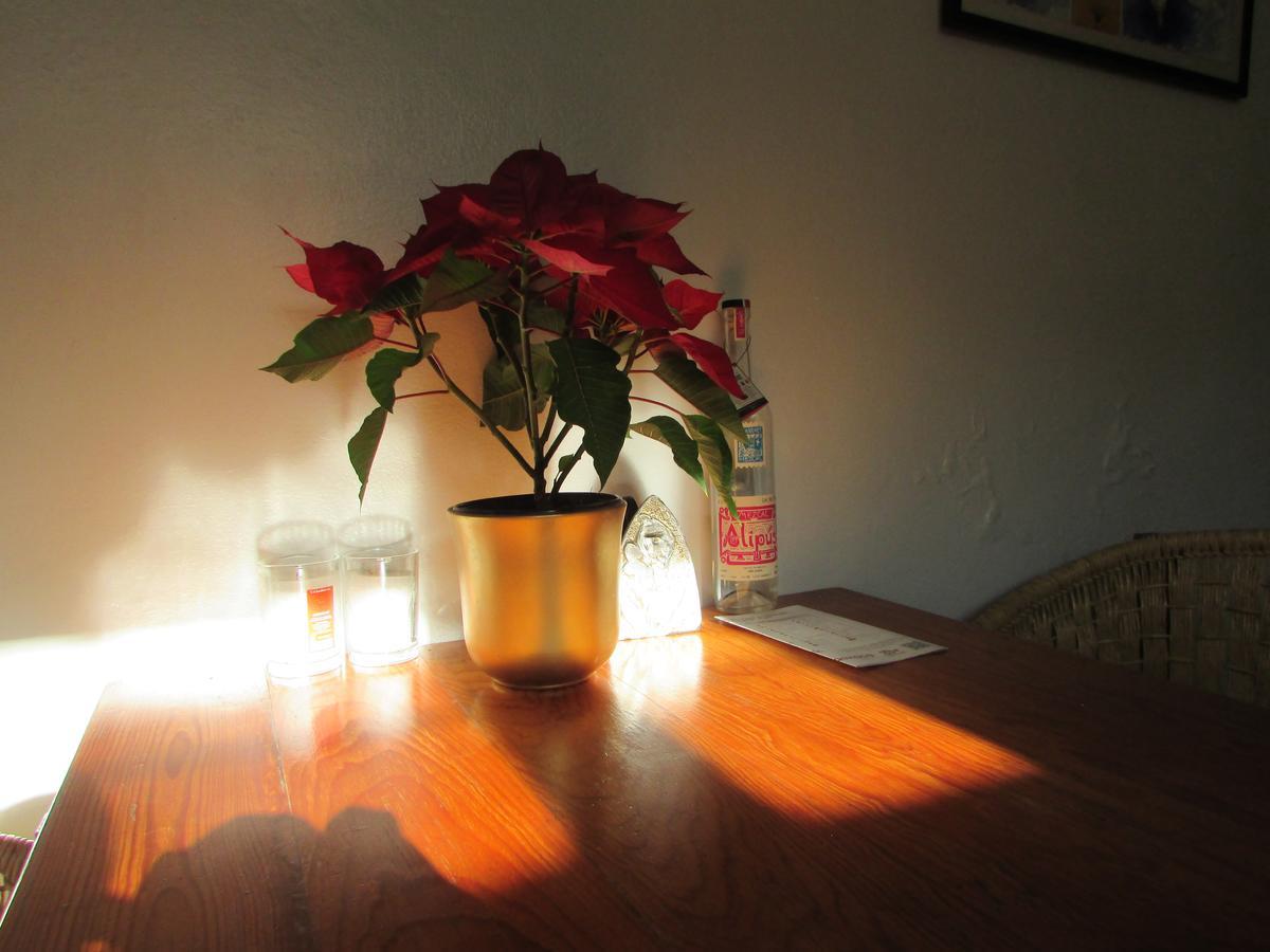 Holiday home Casa Mixteca Santo Domingo